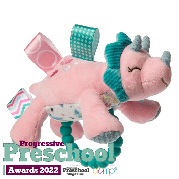 Taggies Teether Rattle