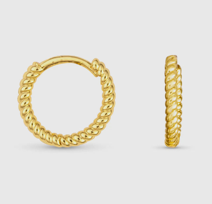 Build Your Own Earrings Bar: Hoops - 2 Colors, 4 Styles!
