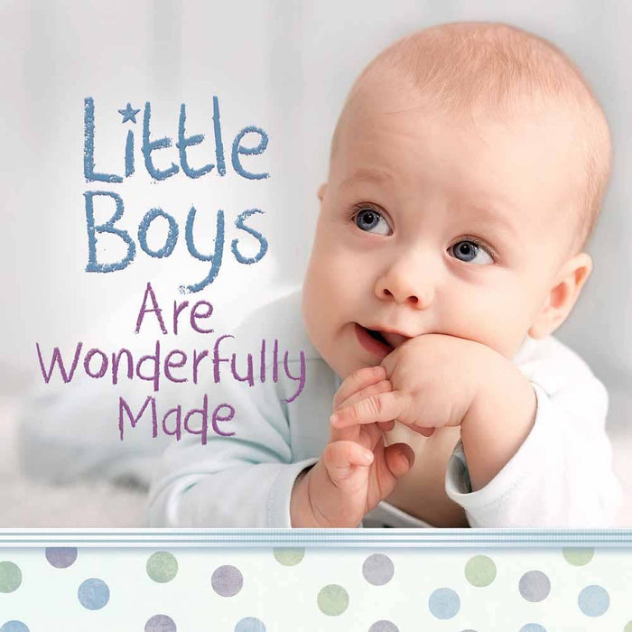 Little Boys Are Wonderfully Made: Hardcover