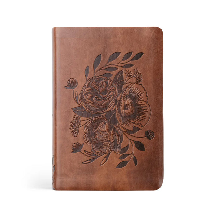 NLT Compact Bible: Aurora Theme