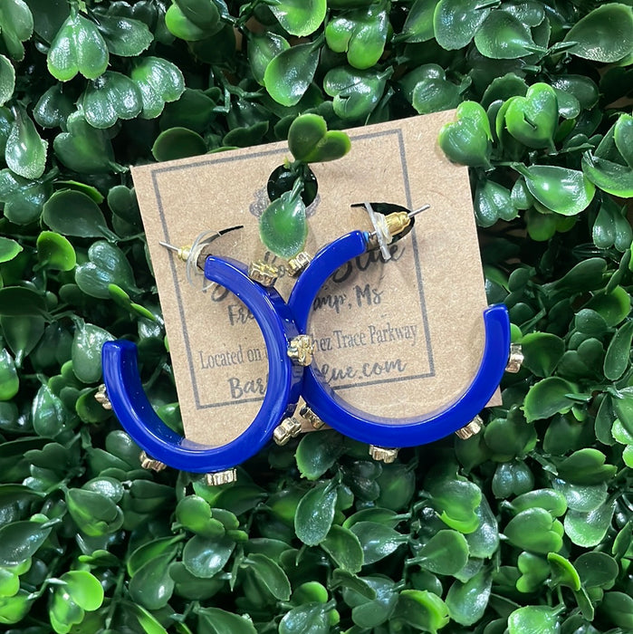 Paw Print Hoop Earrings -4 Colors