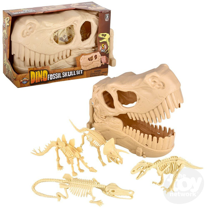 10" Dinosaur Fossil Skull 5pc Set