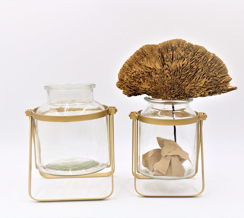 7.5" Glass Vase in Gold Stand