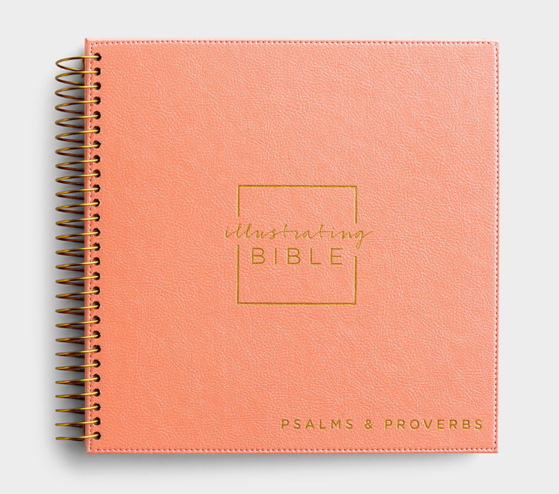NIV Illustrating Bible - Psalm & Proverbs