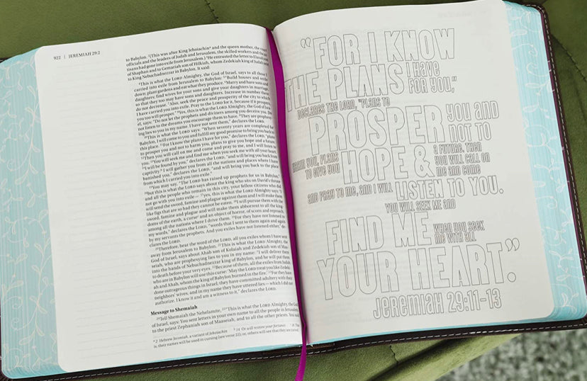 NIV Beautiful Word Coloring Bible & Pencil Gift Set