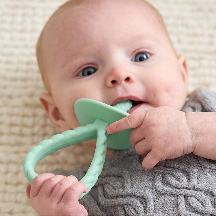 Itzy Pre-Feeding Teether Set™.  Use as a teether or to introduce self feeding.