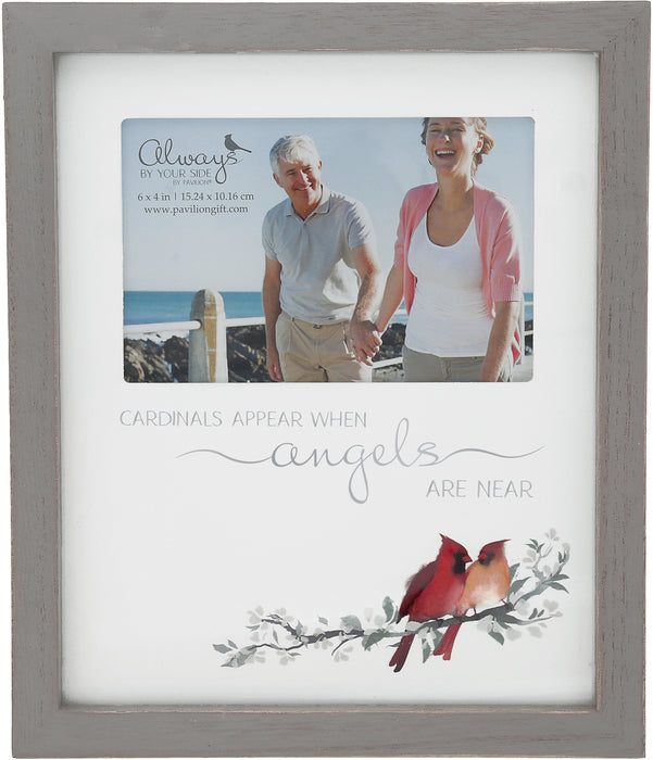 Cardinals Appear Picture Frame