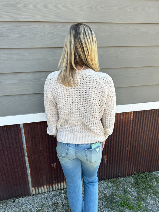 Have My Heart Chenille Sweater (REG/PLUS) - 2 Colors!