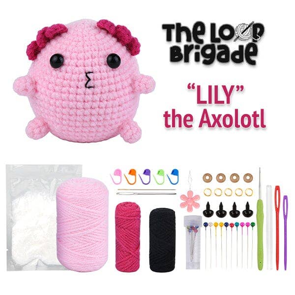 The LOOP Brigade: DIY Mini Crochet Plush Toy Complete Kit For Beginners - Bogart the Frog
