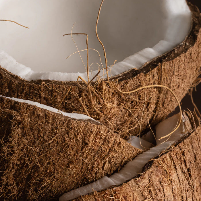 Coconut for Car Pura