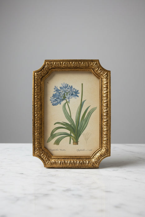 4x6 Antique Gold Photo Frame
