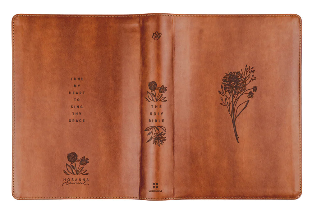 ESV Large Print Journaling Bible: Sierra Theme