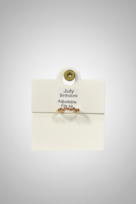 Birthstone Square Stone on Gold Band Ring- Adjustable Fits All