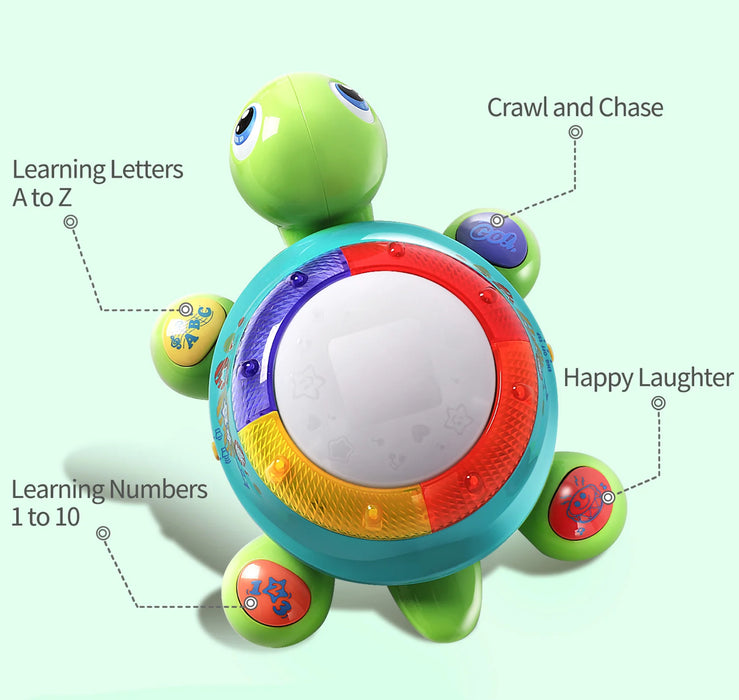 Kids Musical Turtle