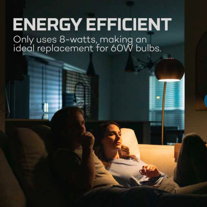 SINGLE PACK Nebo Blackout Emergency Light Bulbs.  These will provide 12 hours of light without electricity.  Works anywhere regular light bulbs do! Comes with a hanging hook. RECHARGEABLE!