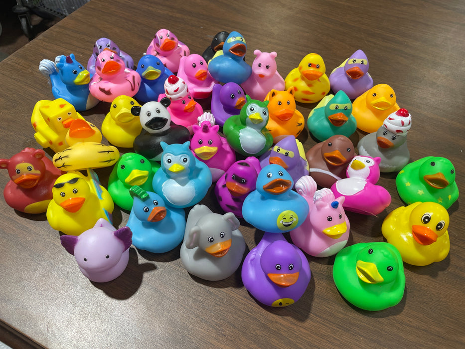 Assorted Rubber Ducks