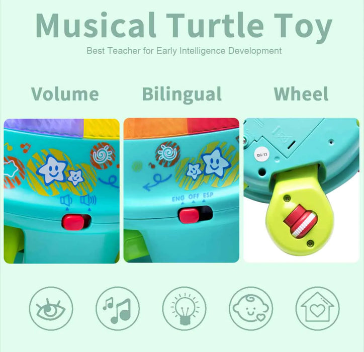 Kids Musical Turtle