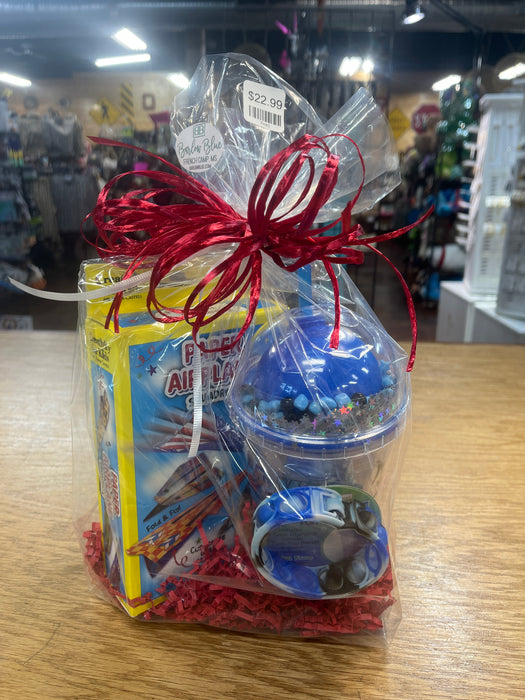 Ready to go Valentine Basket - Shark Color Changing Tumbler and Paper Airplane Making Kit