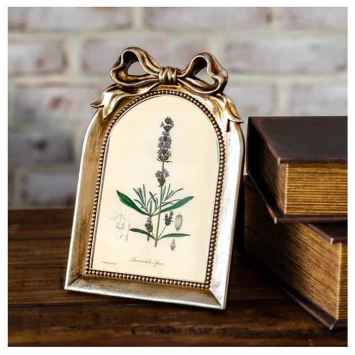 4x6 Arch Gold Bow Frame