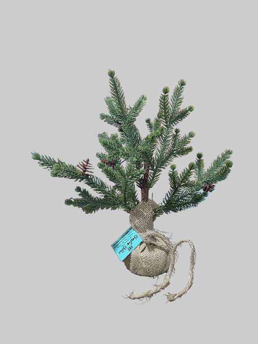 Small Free Standing Tree with Burlap Sack