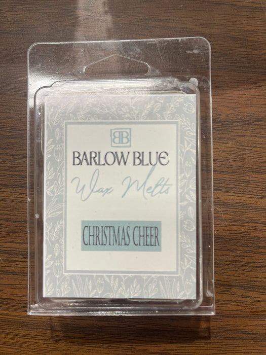 Scented Wax Melts - 6 Scents!