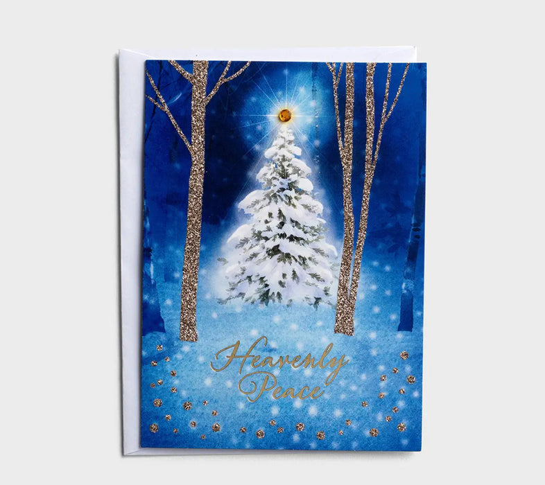 The Quiet Beauty of Christmas - 24 Assorted Christmas Boxed Cards