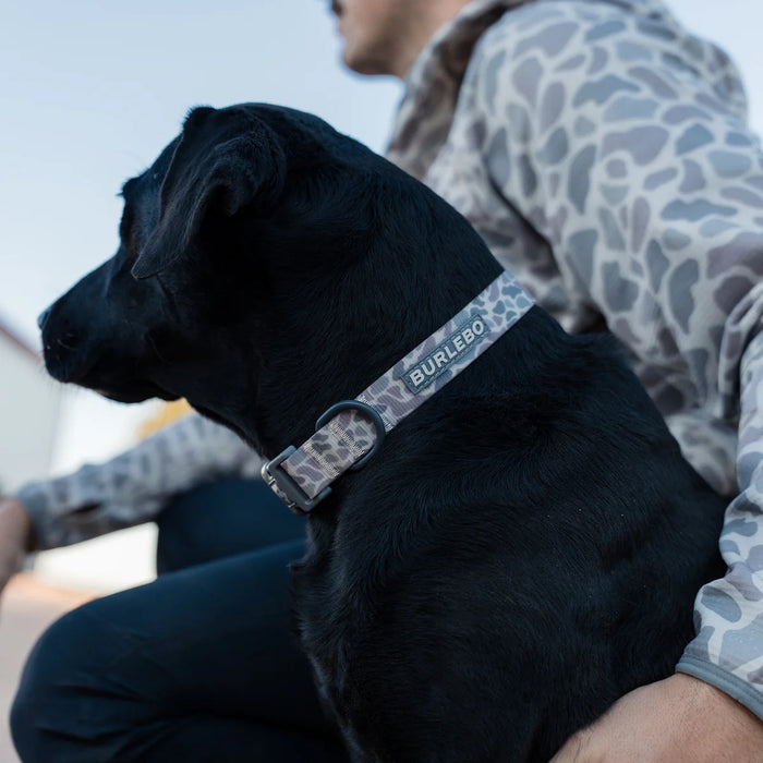 Dog Collar – Classic Deer Camo by Burlebo