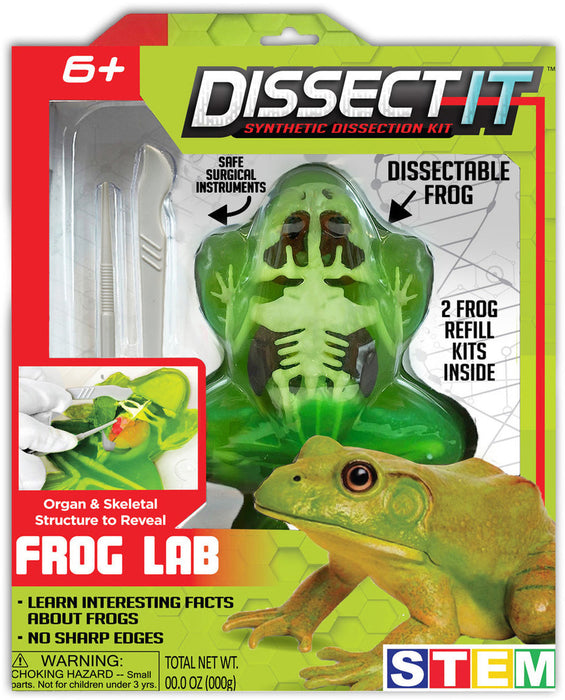 Dissect It Frog -STEM Learning Toy
