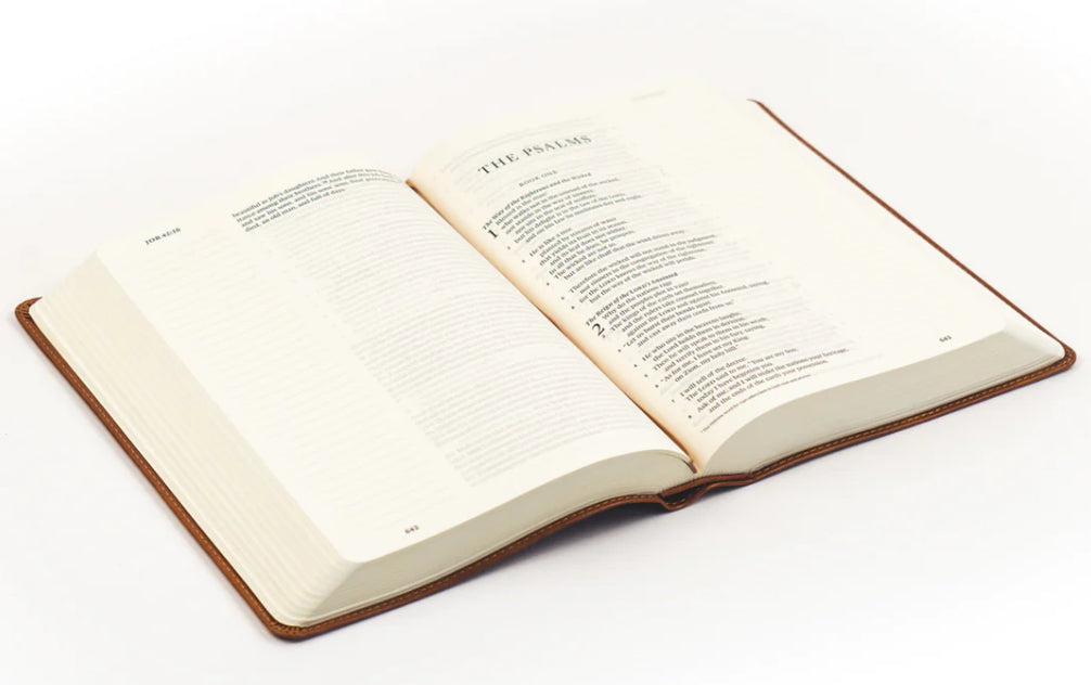 ESV Large Print Journaling Bible: Sierra Theme