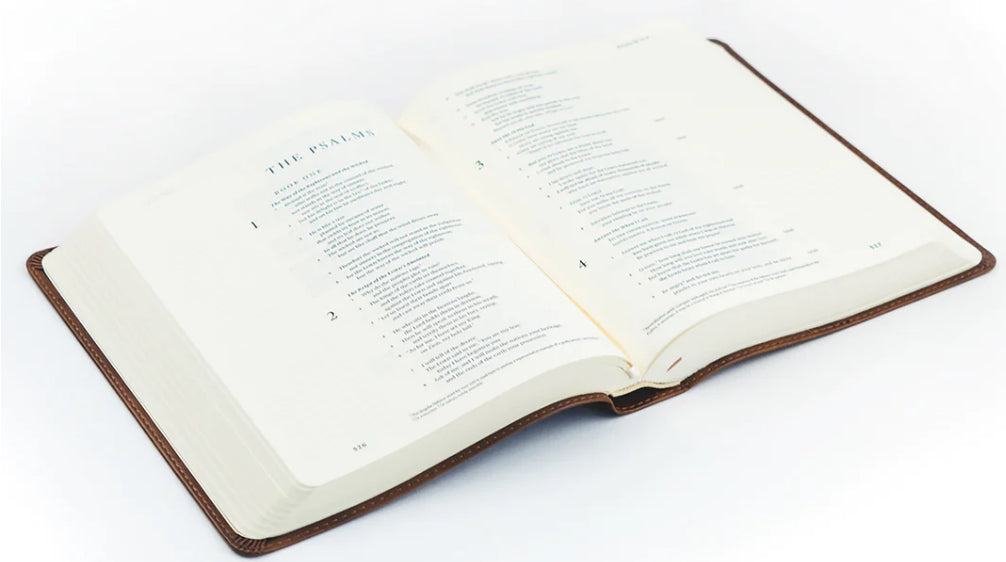 ESV Journaling Bible: Westminster Theme