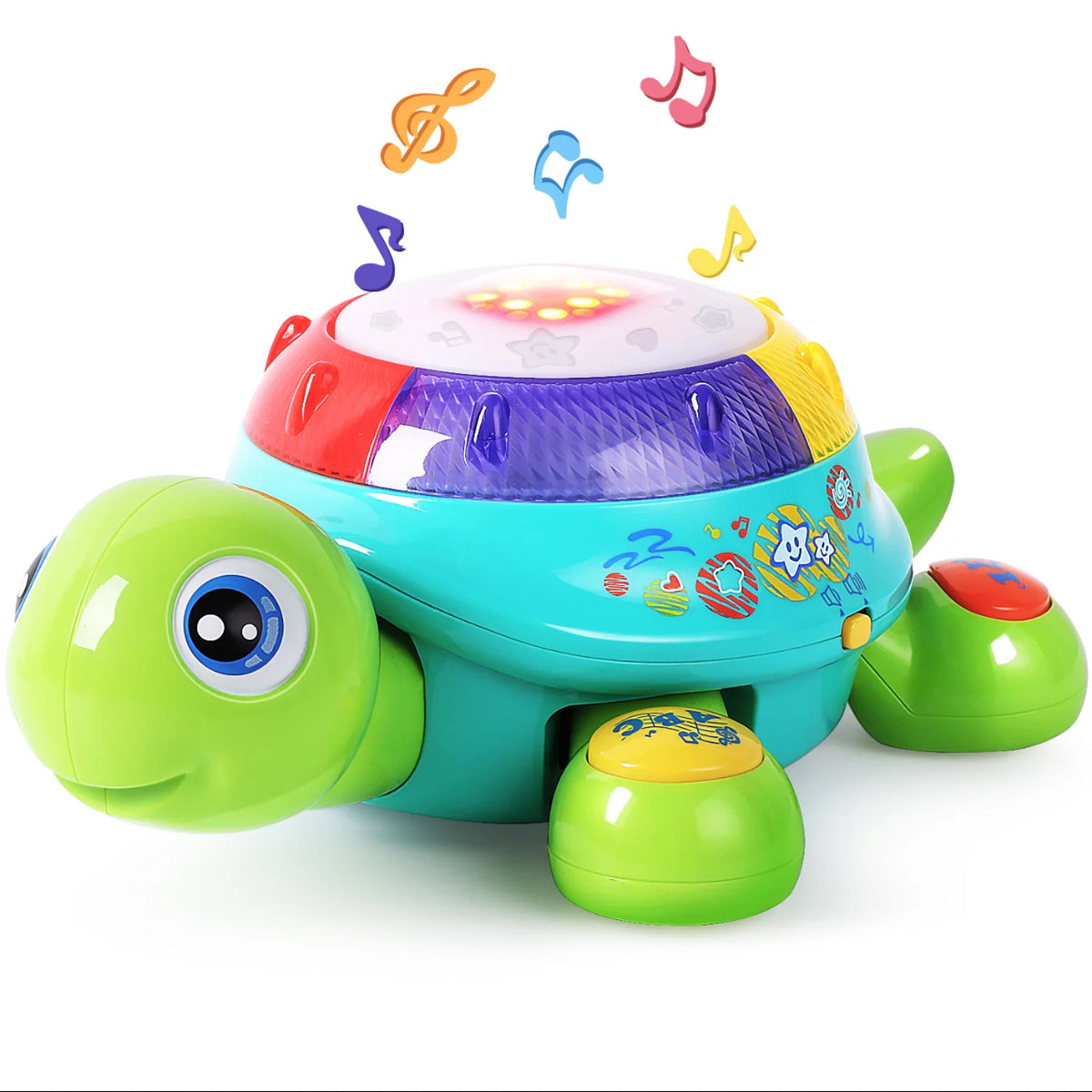 Kids Musical Turtle — Barlow Blue
