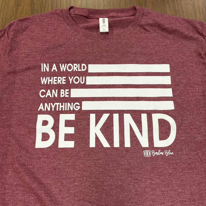 In a World-BE KIND. $6 CLEARANCE TEES!  $8 For Long Sleeves!  Random Shirt Color Chosen.