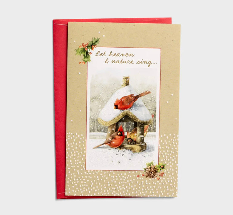 Let Heaven & Nature Sing - 18 Christmas Boxed Cards, NLT