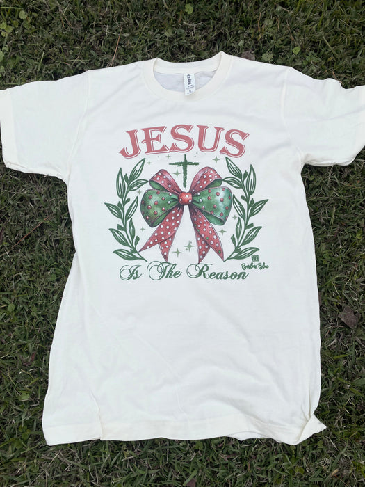 Jesus is the Reason Tees and Sweatshirts (REG/PLUS)