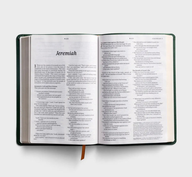 NLT Large Print Thinline Reference Bible - Evergreen LeatherLike