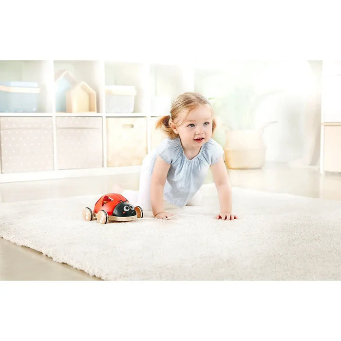 Shape-Sorter Ladybug Toy