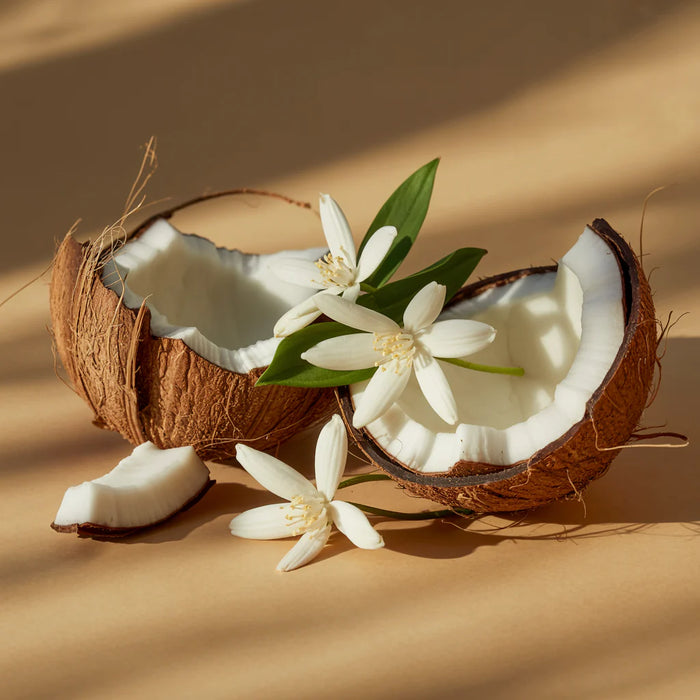 Coconut Calm Fragrance Refill for Pura