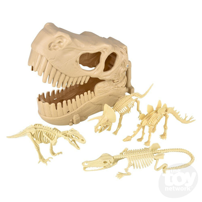 10" Dinosaur Fossil Skull 5pc Set