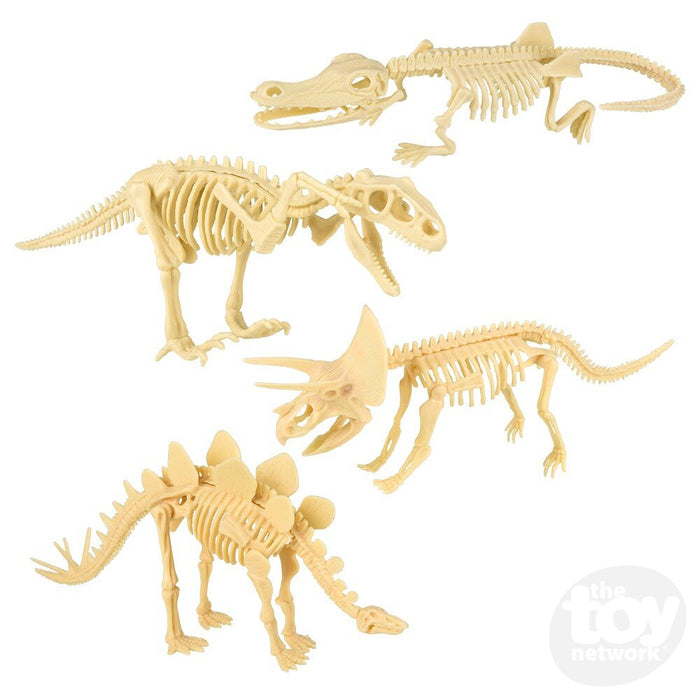 10" Dinosaur Fossil Skull 5pc Set