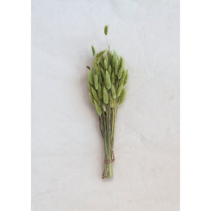 Dried Natural Bunny Tail Bunch