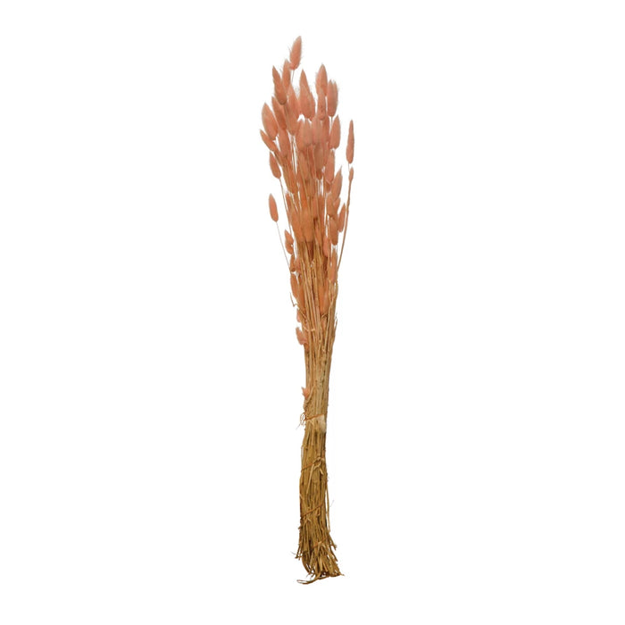 32” Dried Natural Bunny Tail Bunch - 2 Colors!