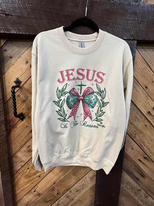 Jesus is the Reason Tees and Sweatshirts (REG/PLUS)