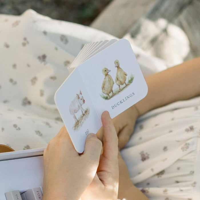 Our Very Little Library Board Book Set of 10 Books
