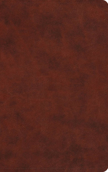 ESV LP Value Thinline (TT, Chestnut)