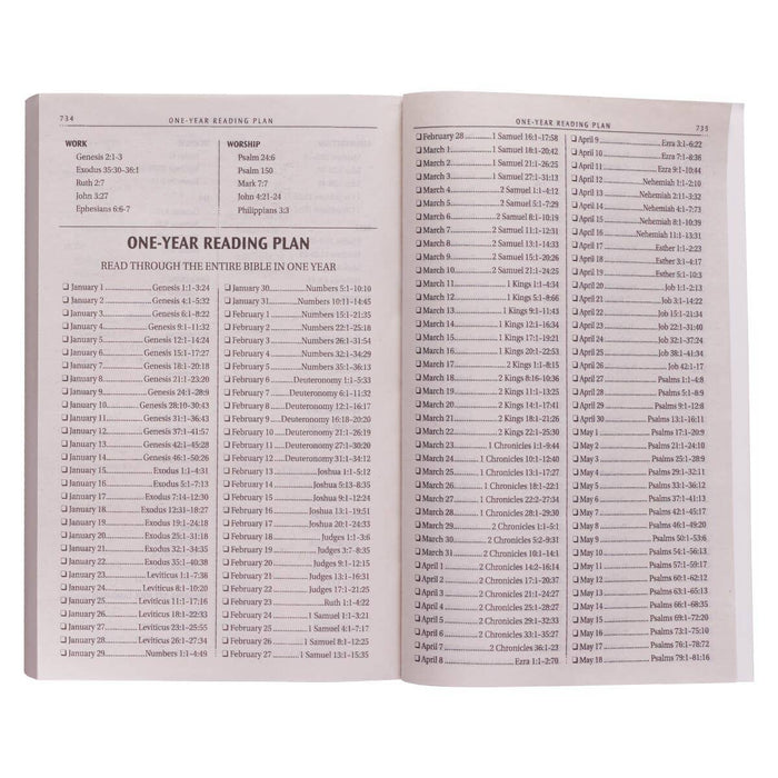 KJV Bible Outreach Softcover, Silver