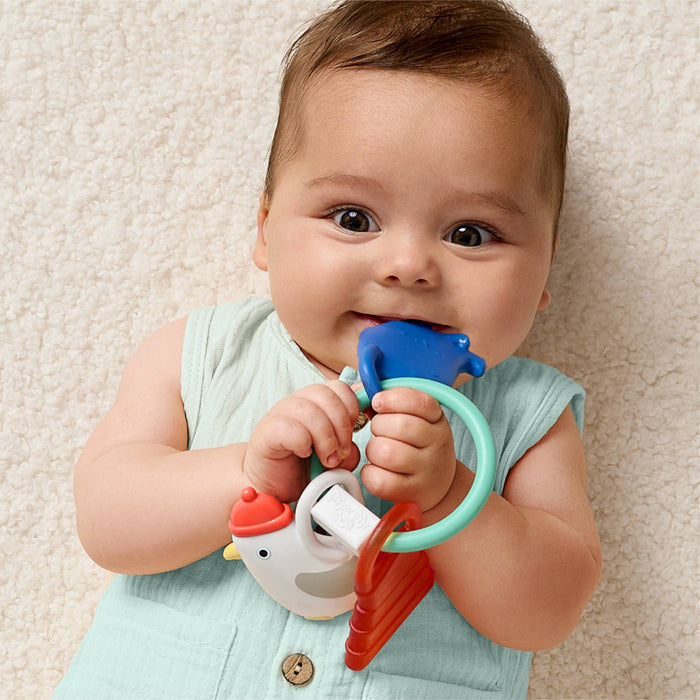 Bitzy Charms™ Teething Toys