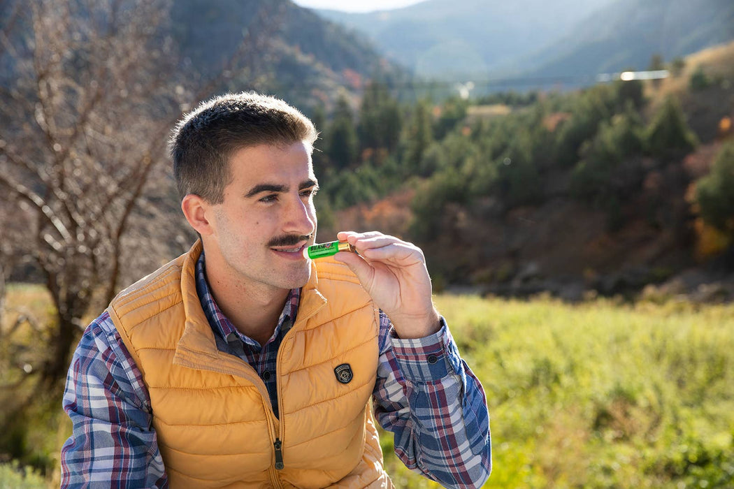 Cool Mint Beeswax Lip Balm in a Bullet