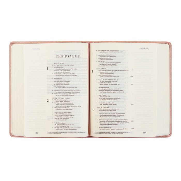 ESV Journaling Bible: Shiloh Theme