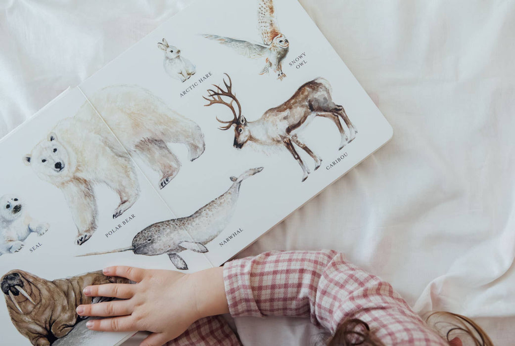 Our Big Book of Animals (Board Book)