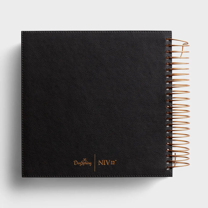 Dark Grey NIV Illustrating Bible (Spiral Bound)